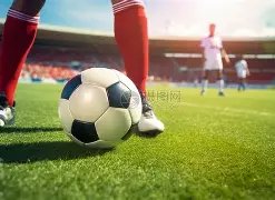 揭秘伯明翰,新球场设计,槽点,开云体育app下载,开云体育官网,开云体育官方网站,开云体育平台