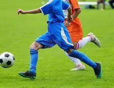 法尔克揭秘,哈兰德独步,中锋之巅,开云体育app下载,开云体育官网,开云体育官方网站,开云体育平台