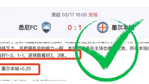 樊振东等四人将获全国先进工作者荣誉称号